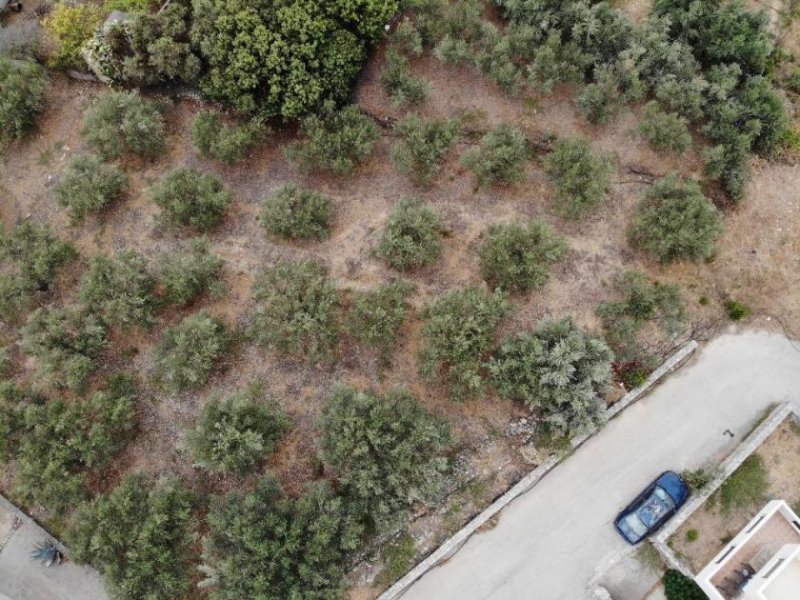 Almyrida Kreta, Almyrida: Grundstück in Strandnähe mit Meerblick zu verkaufen Grundstück kaufen